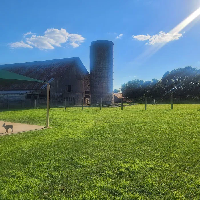 K-9 Korral Dog Park 5
