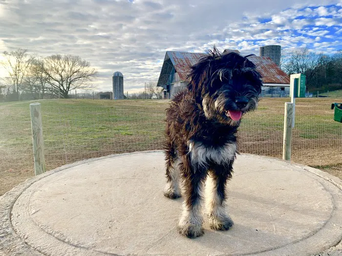 K-9 Korral Dog Park 8