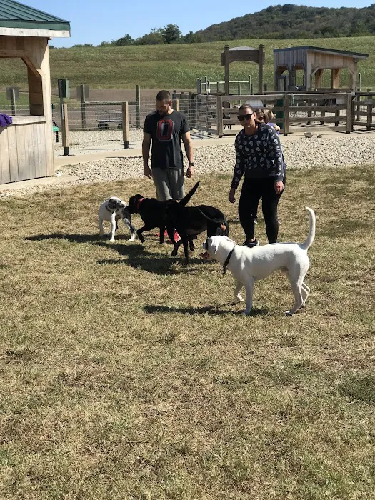 K-9 Korral Dog Park 10