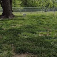 Hendersonville Dog Park ico