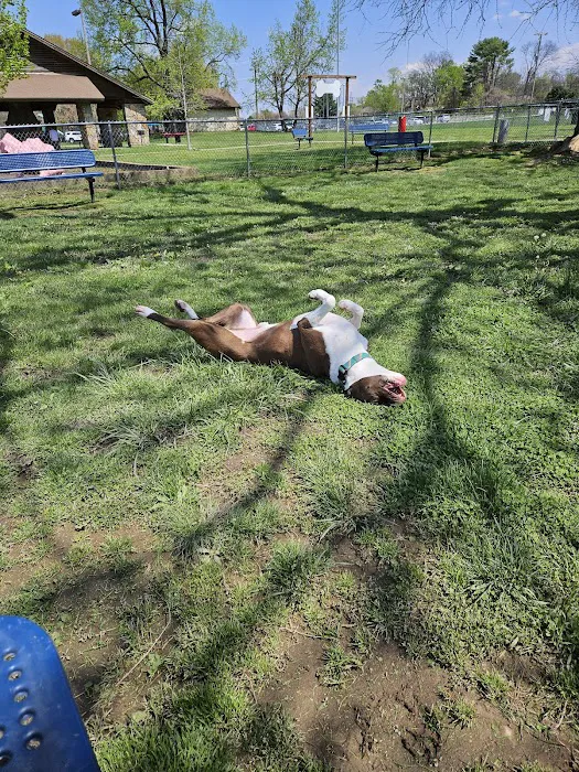 Hendersonville Dog Park 8