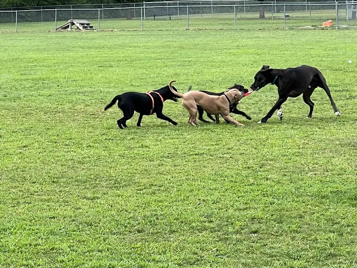 Hendersonville Dog Park 9
