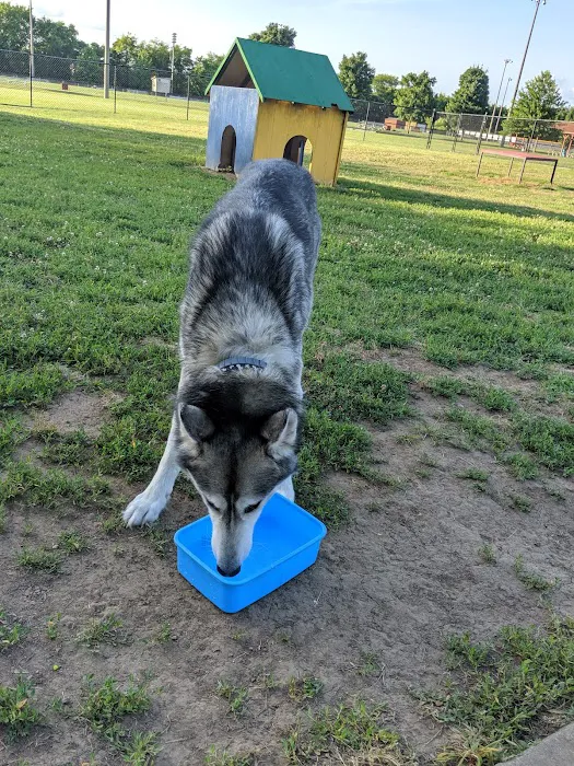 Nolensville Dog Park 5