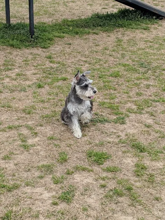 Nolensville Dog Park 8