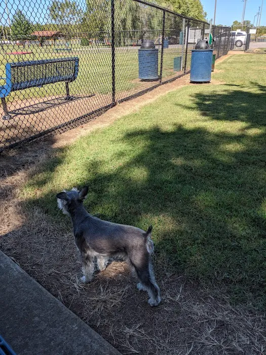 Nolensville Dog Park 10