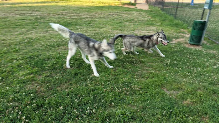 Nolensville Dog Park 3