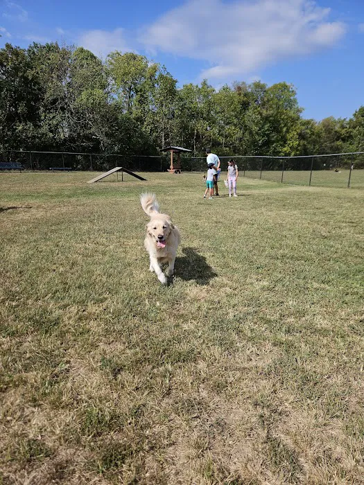 Nolensville Dog Park 7
