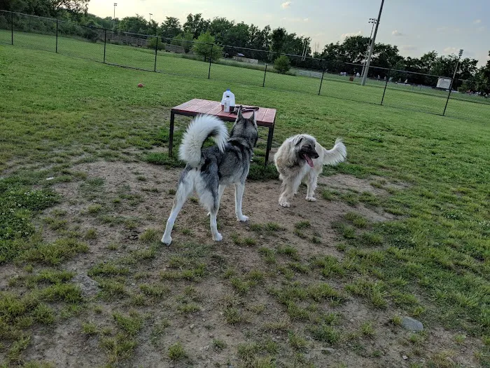 Nolensville Dog Park 6