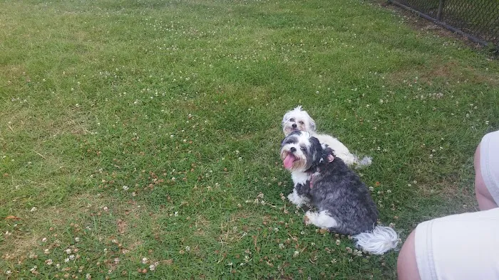 Nolensville Dog Park 1