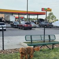 Dog Park at Love's Travel Stops ico