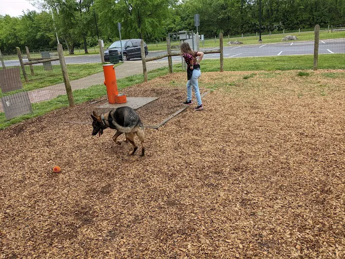 Bark Springs Dog Park Smyrna TN 3