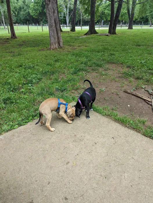 Bark Springs Dog Park Smyrna TN 6