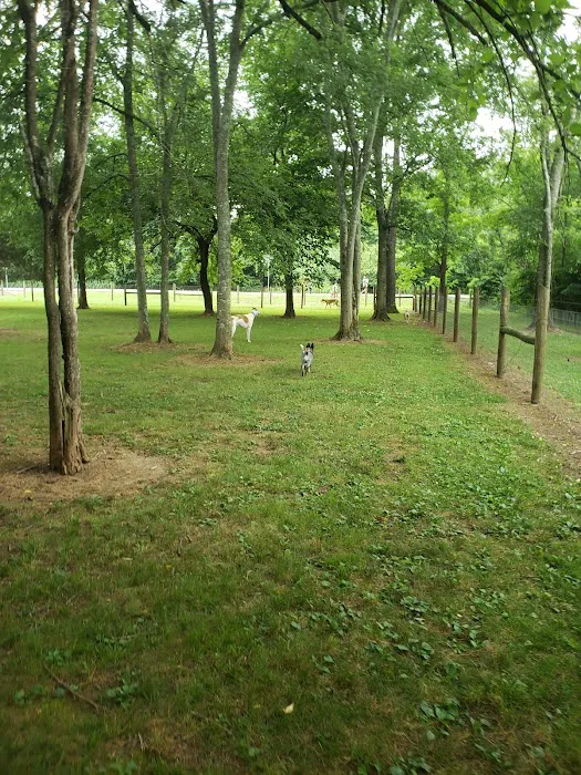 Bark Springs Dog Park Smyrna TN 9