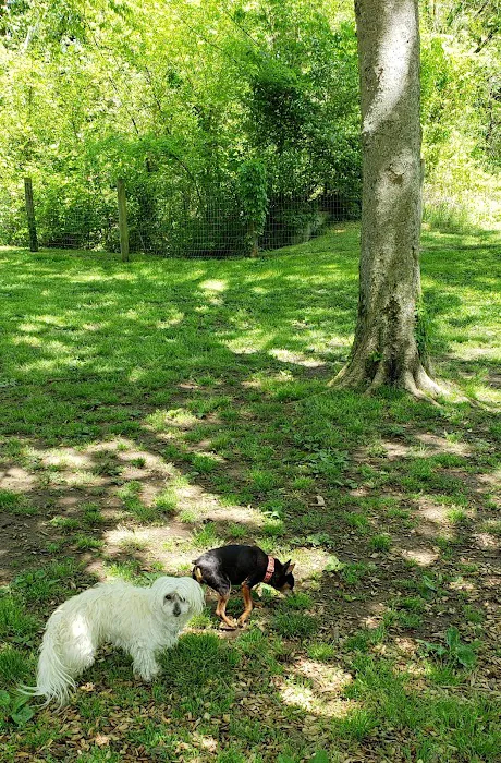 Freedom Run Dog Park 1
