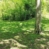 Freedom Run Dog Park ico
