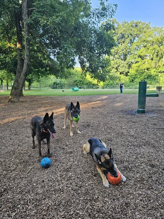 Freedom Run Dog Park 8