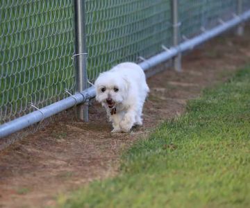 Blake's Bark Park