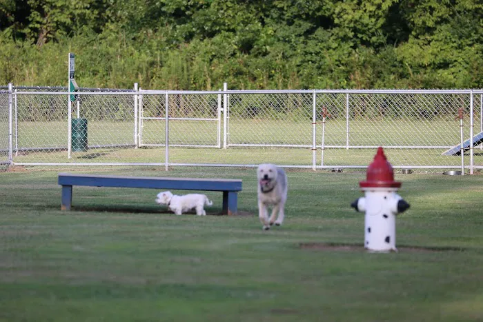 Blake's Bark Park 8
