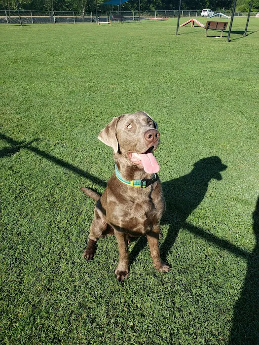 Blake's Bark Park 10