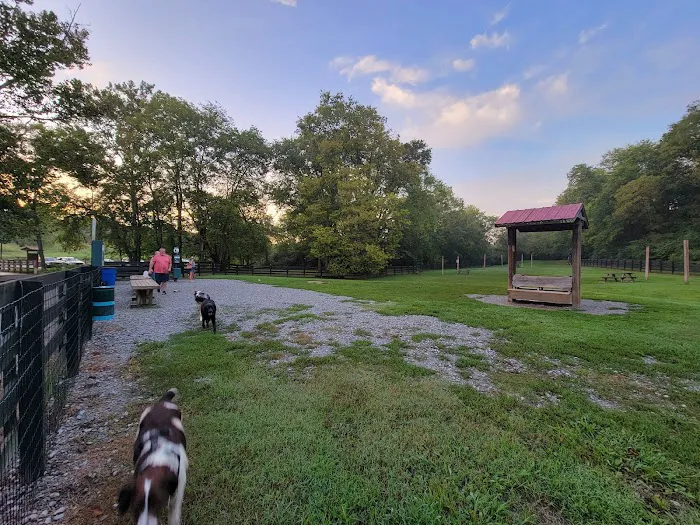 Nutro Dog Park 5
