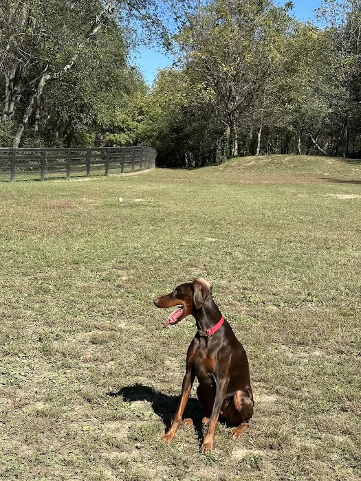 Nutro Dog Park 2