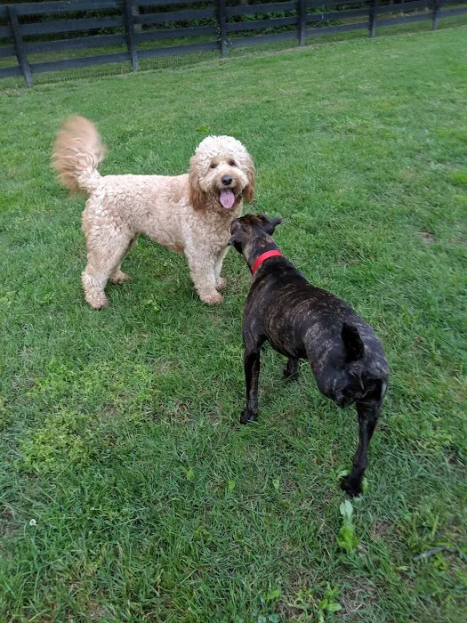 Nutro Dog Park 9