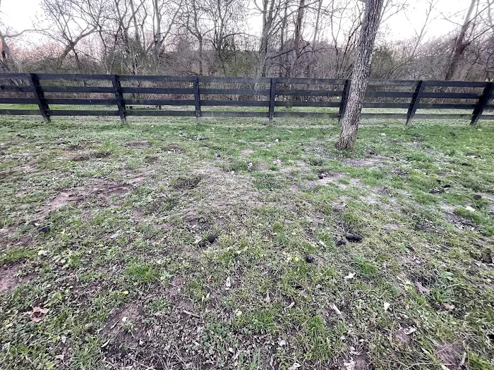 Nutro Dog Park 8