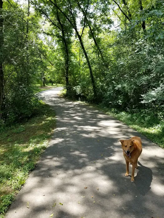 Nutro Dog Park 10