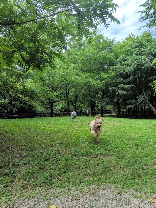 Nutro Dog Park 3