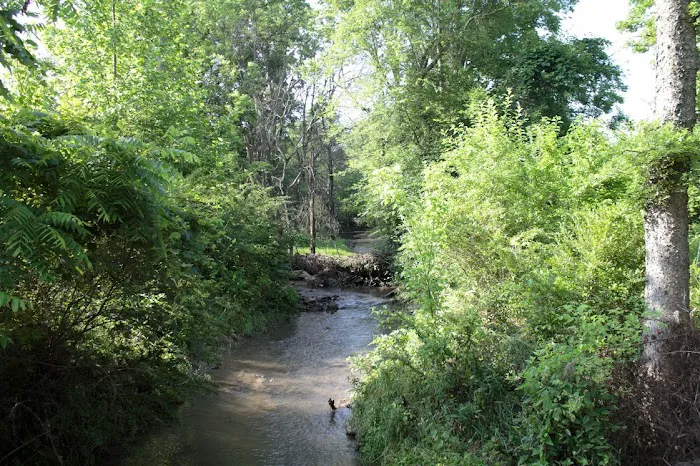 Nutro Dog Park 1