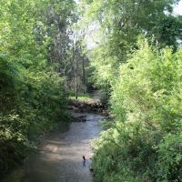 Nutro Dog Park ico