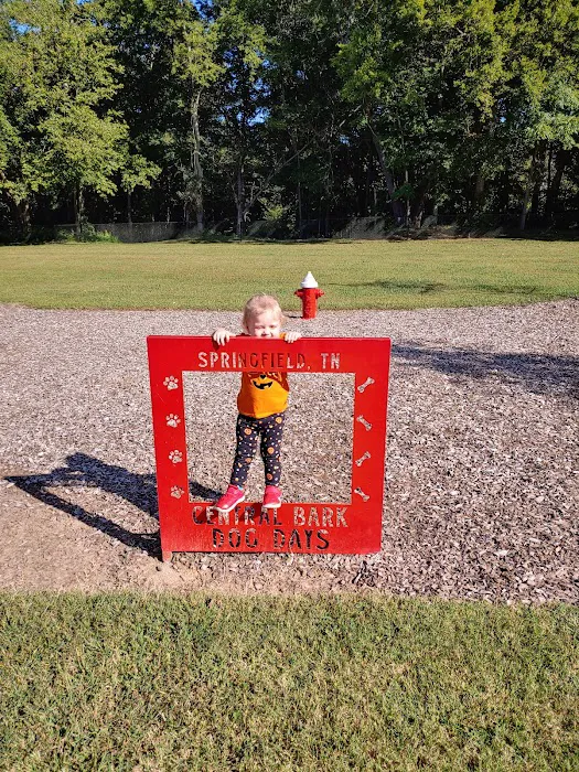 Central Bark Dog Park 5