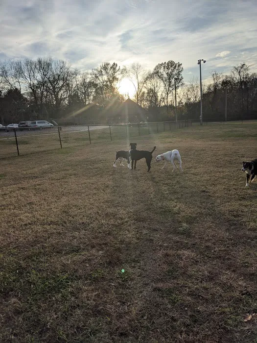 Central Bark Dog Park 2