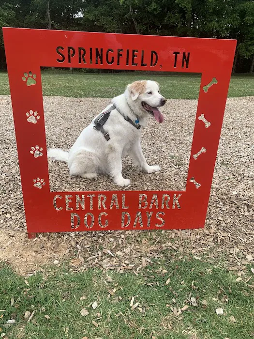 Central Bark Dog Park 9