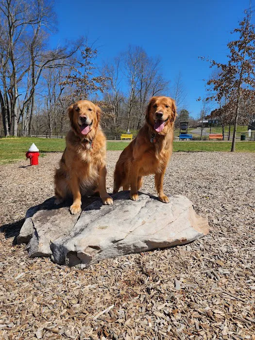 Central Bark Dog Park 4