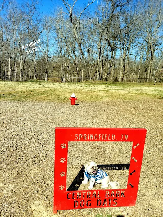Central Bark Dog Park 7