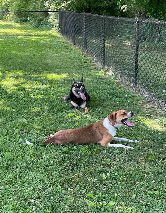 Central Bark Dog Park 1