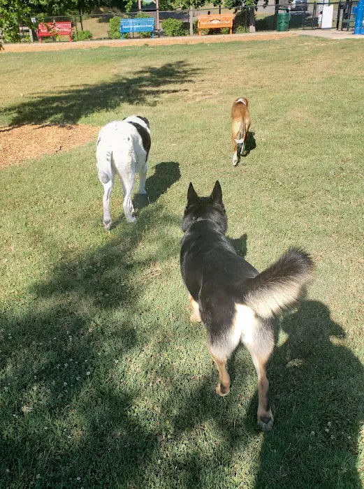 Central Bark Dog Park 8
