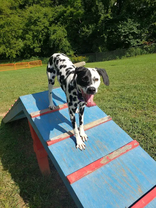 Rover's Ridge Dog Park 1