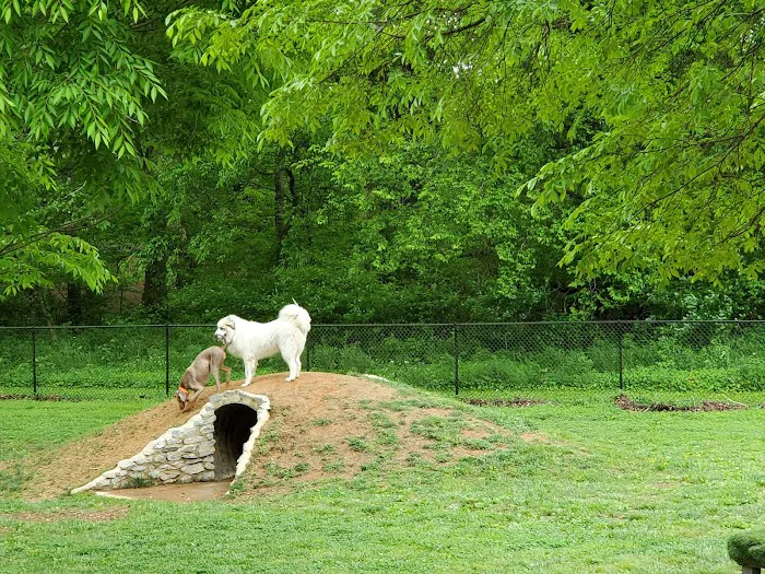 Rover's Ridge Dog Park 10