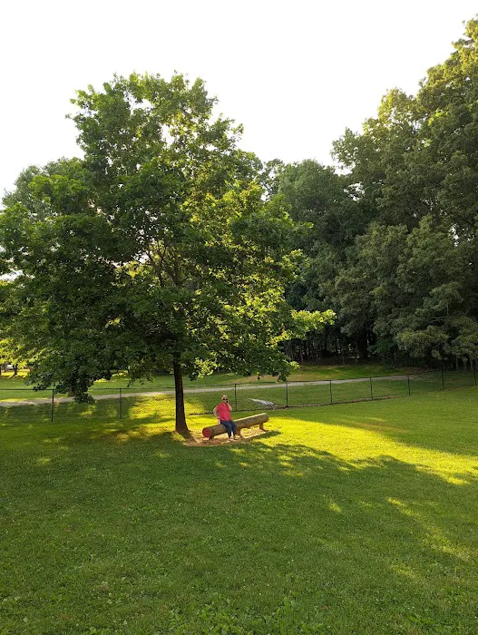 Rover's Ridge Dog Park 5