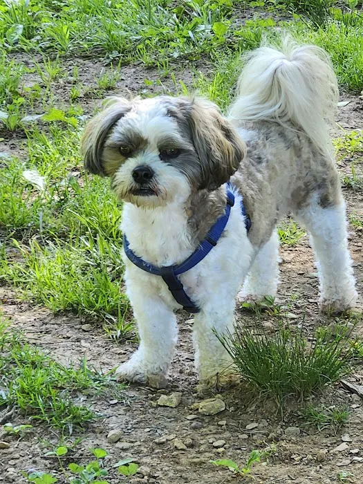 Rover's Ridge Dog Park 3