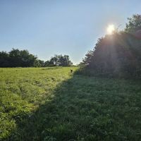 Triple Creek Dog Park ico