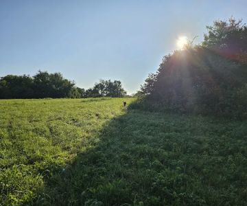 Triple Creek Dog Park