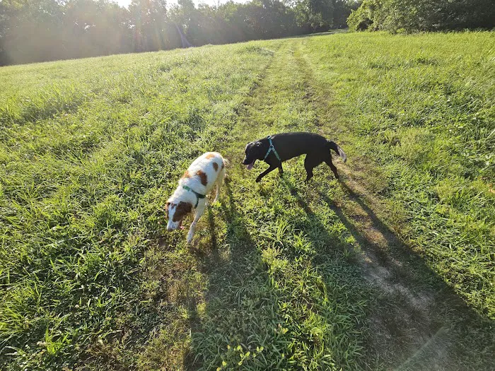 Triple Creek Dog Park 5