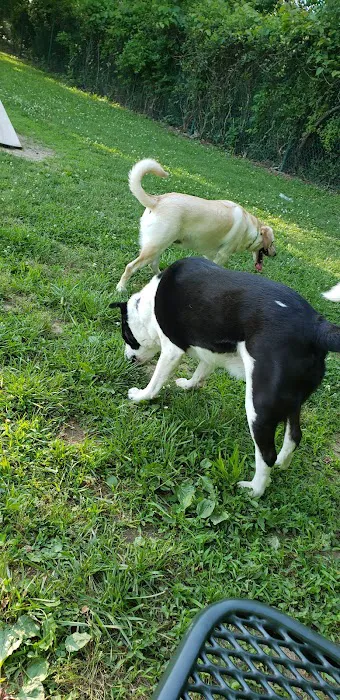Triple Creek Dog Park 8