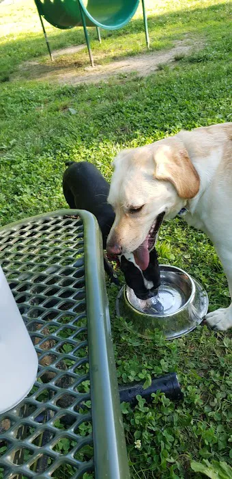 Triple Creek Dog Park 6