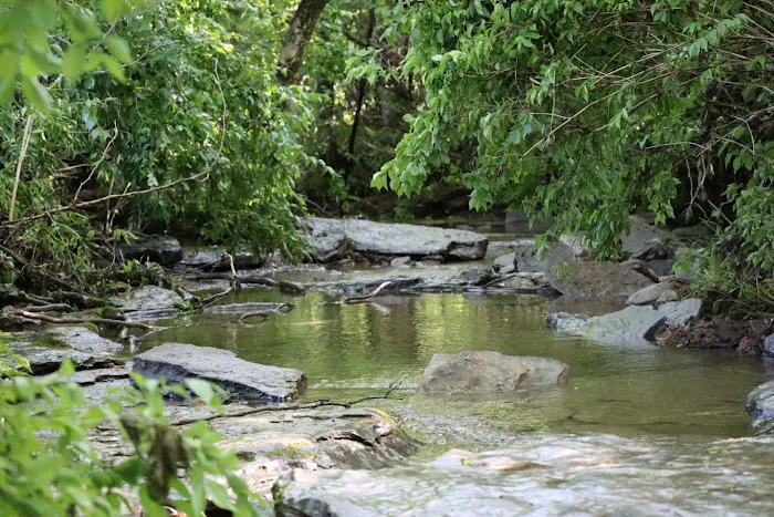 Triple Creek Dog Park 7