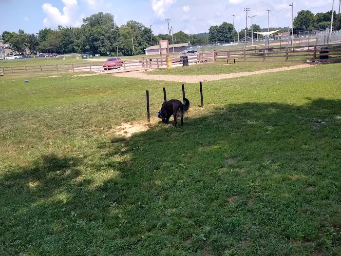 Spring Hill Bark Park 1