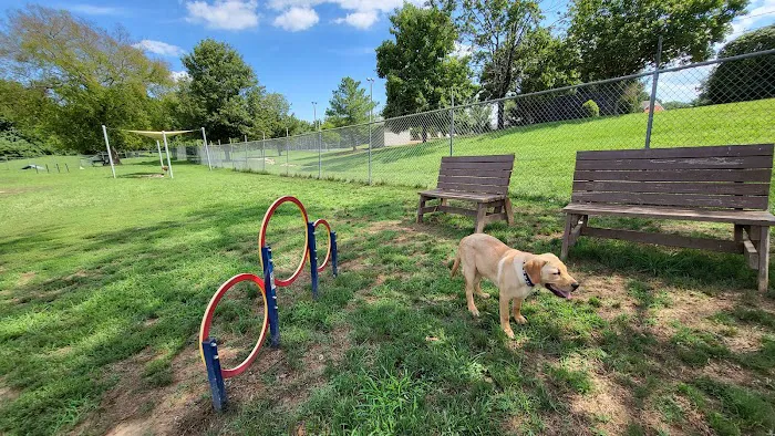Spring Hill Bark Park 5
